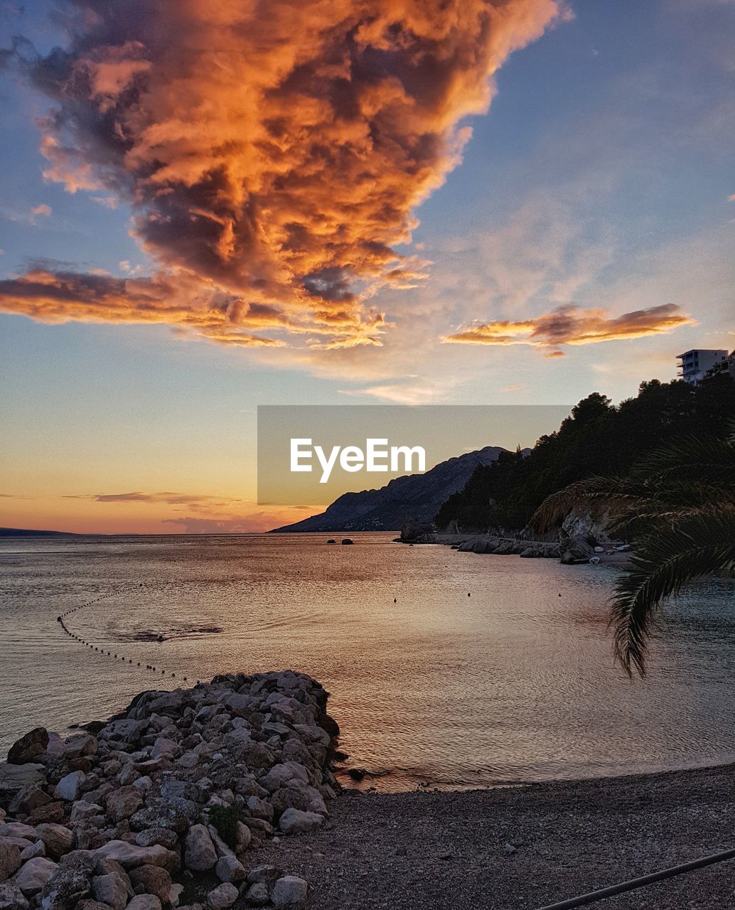 SCENIC VIEW OF BEACH DURING SUNSET