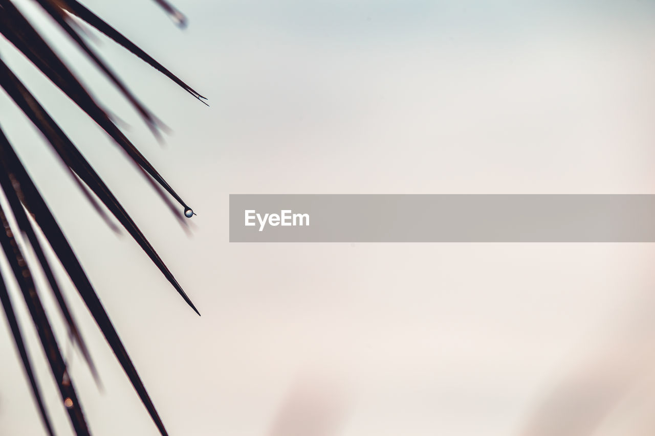 LOW ANGLE VIEW OF A SKY