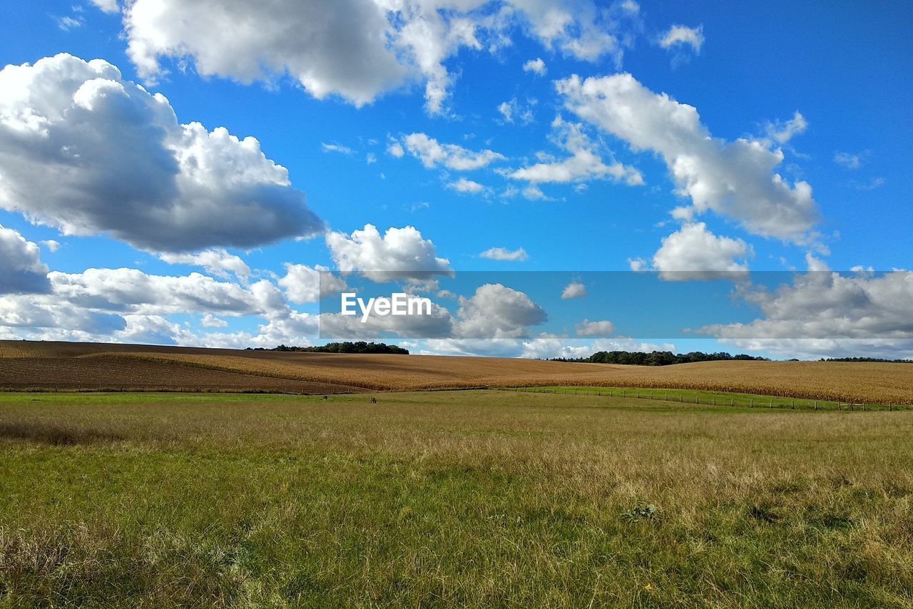 SCENIC VIEW OF FARM FIELD AGAINST SKY