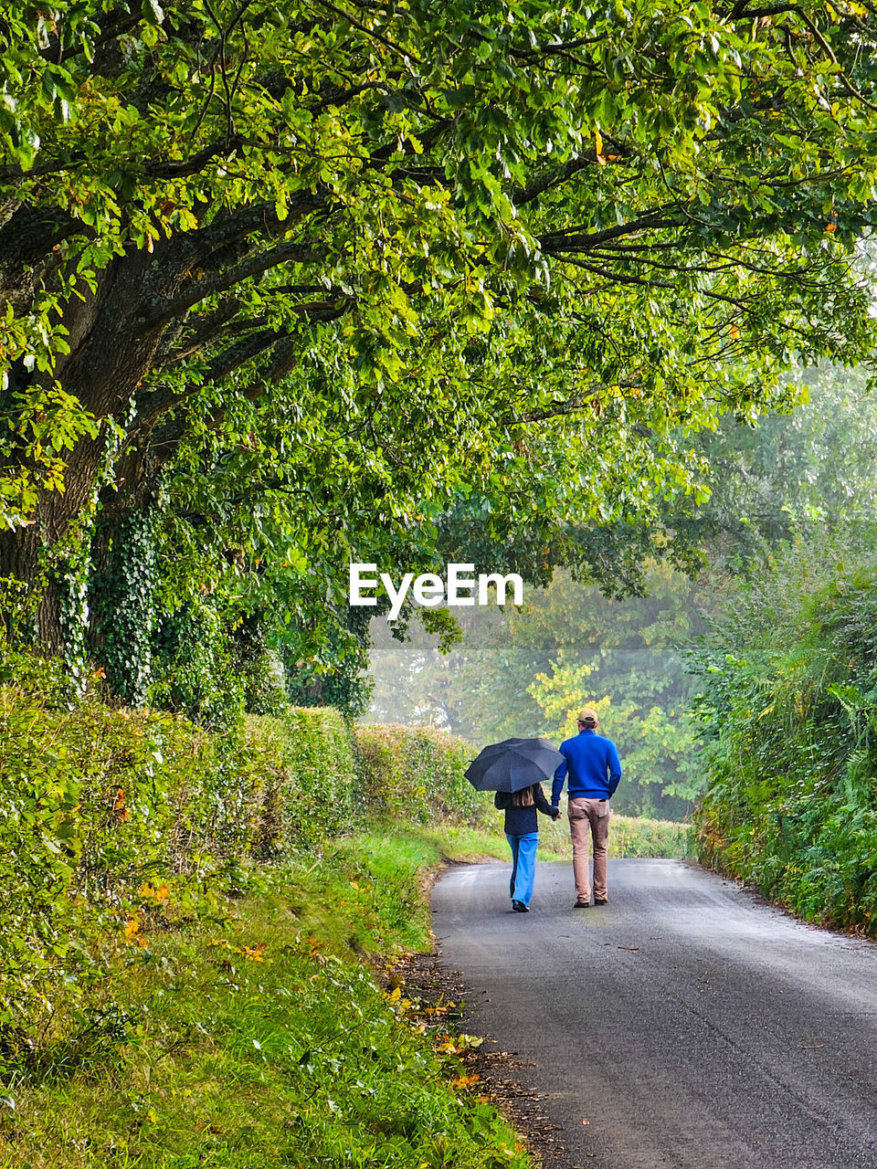 plant, leaf, autumn, two people, walking, men, tree, rear view, full length, green, togetherness, nature, growth, lifestyles, women, adult, flower, leisure activity, day, the way forward, woodland, footpath, meadow, bonding, road, transportation, beauty in nature, sunlight, grass, child, outdoors, family, casual clothing, love, forest, female, rural area, childhood, garden, positive emotion, trail, motion, friendship, shrub