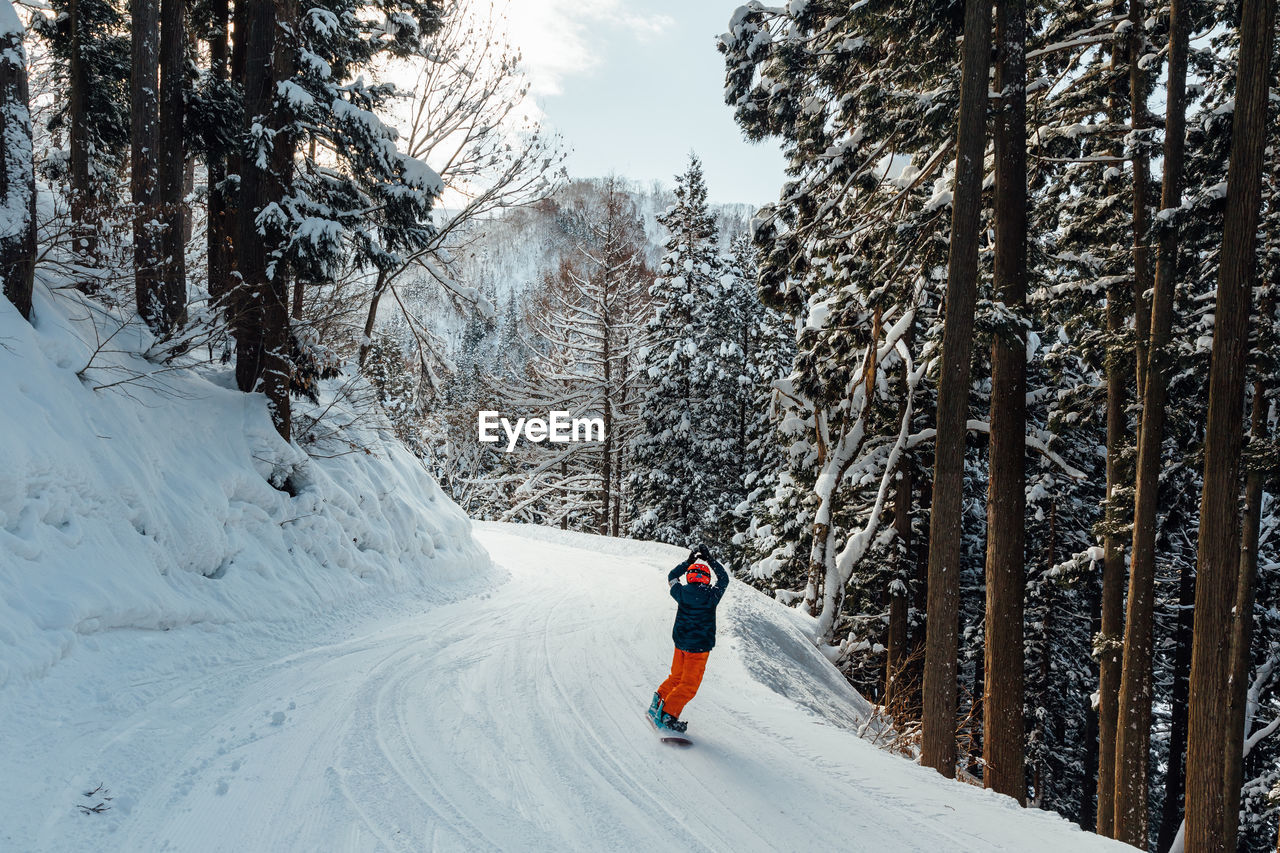 snow, winter, cold temperature, tree, sports, one person, nature, leisure activity, mountain, winter sports, plant, footwear, forest, land, skiing, full length, holiday, clothing, vacation, scenics - nature, beauty in nature, environment, nordic skiing, adventure, trip, landscape, coniferous tree, pine tree, day, pinaceae, adult, pine woodland, lifestyles, sports equipment, mountain range, travel, extreme sports, piste, warm clothing, ski, activity, non-urban scene, ski holiday, motion, ski equipment, sky, travel destinations, white, recreation, outdoors, snowboarding, woodland, rear view, frozen, men, tranquil scene, cross-country skiing, deep snow, snowcapped mountain