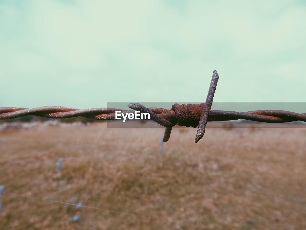 CLOSE-UP OF BARBED WIRE AGAINST SKY