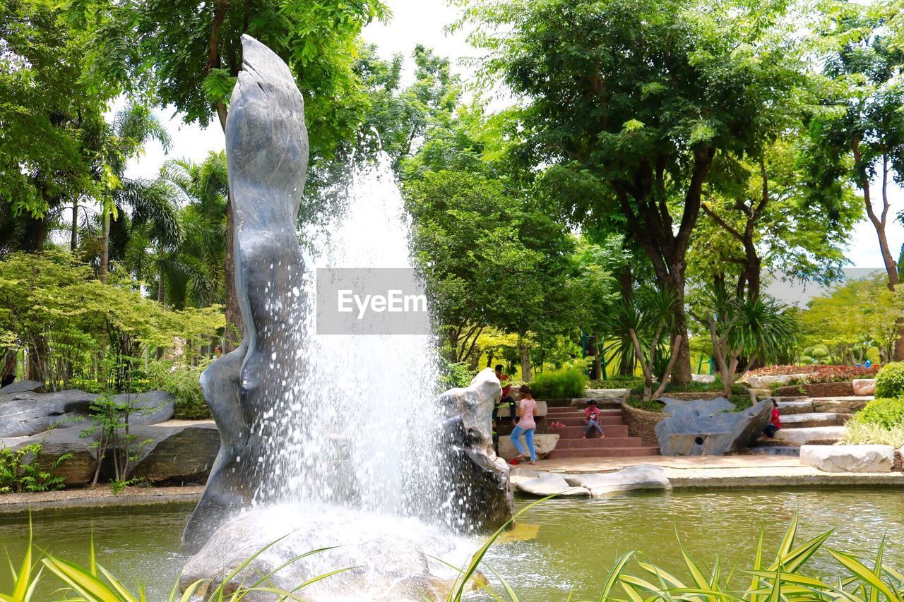 WATER SPLASHING IN SWIMMING POOL AGAINST TREES