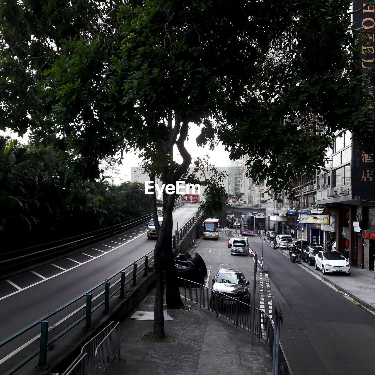 CAR ON STREET IN CITY