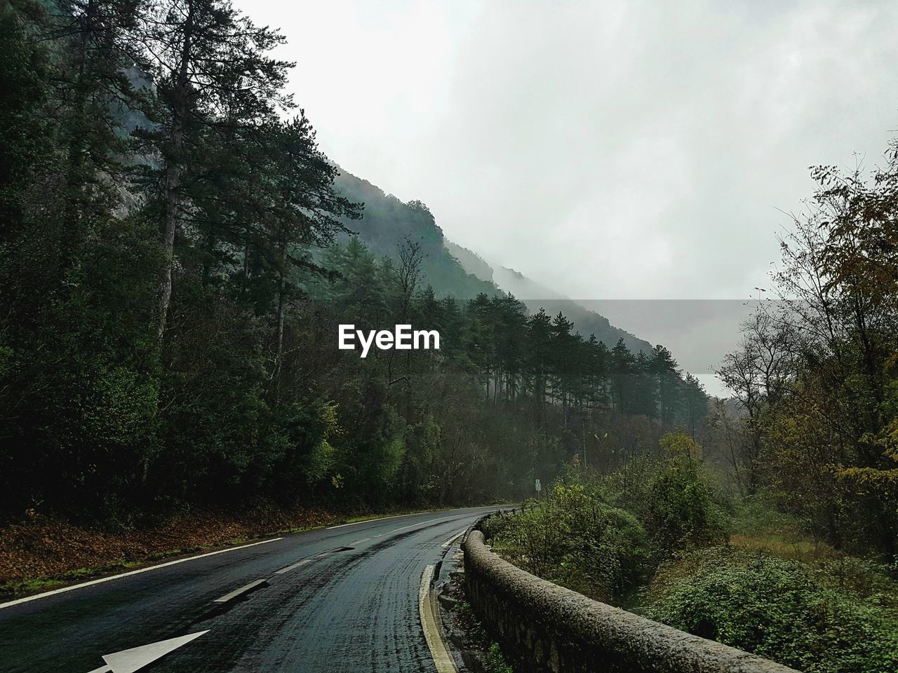 Empty road amidst trees against sky