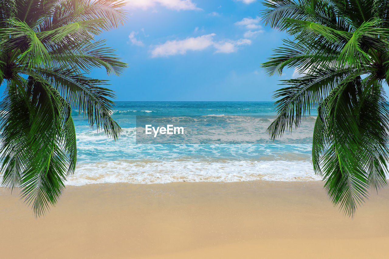 tropical climate, sea, palm tree, water, beach, land, sky, tree, beauty in nature, nature, horizon over water, vacation, plant, scenics - nature, sand, tropics, tranquility, horizon, tranquil scene, coconut palm tree, ocean, cloud, holiday, idyllic, travel destinations, body of water, tropical tree, trip, wave, travel, palm leaf, no people, outdoors, leaf, sunlight, day, motion, water sports, water's edge, shore, green, seascape, environment, tourism, summer, blue, coastline, island, coast, sports