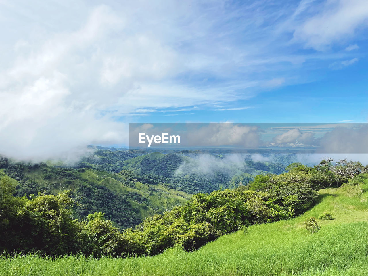 IDYLLIC SHOT OF GREEN LANDSCAPE AGAINST SKY