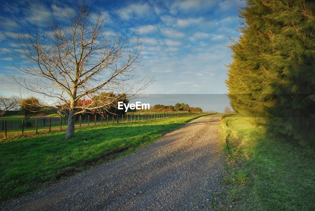 Road amidst field against sky