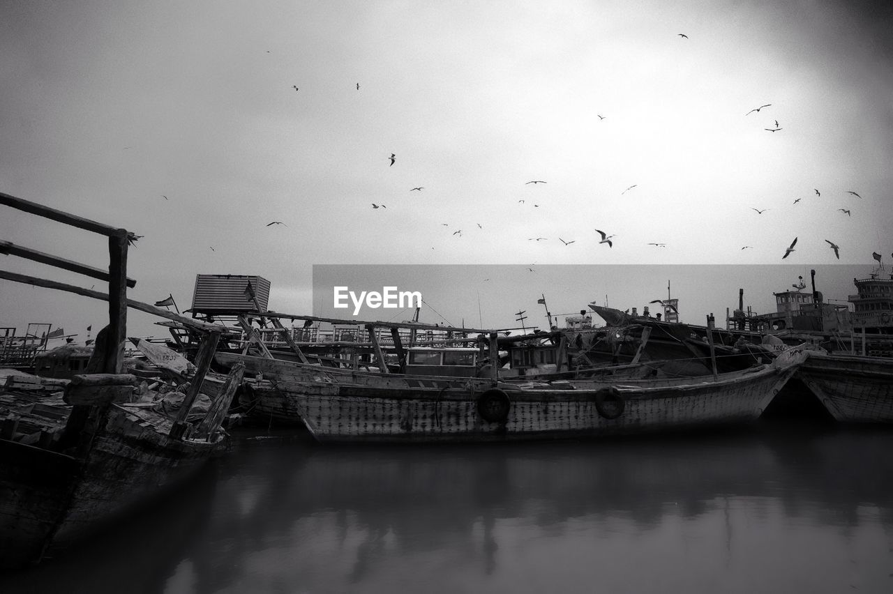 Fishing boats moored at harbor against birds flying in sky