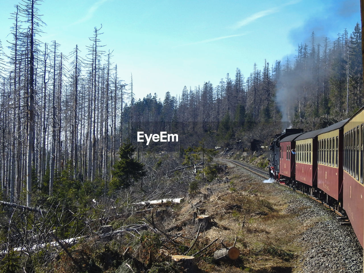 Train on railroad track in forest against sky