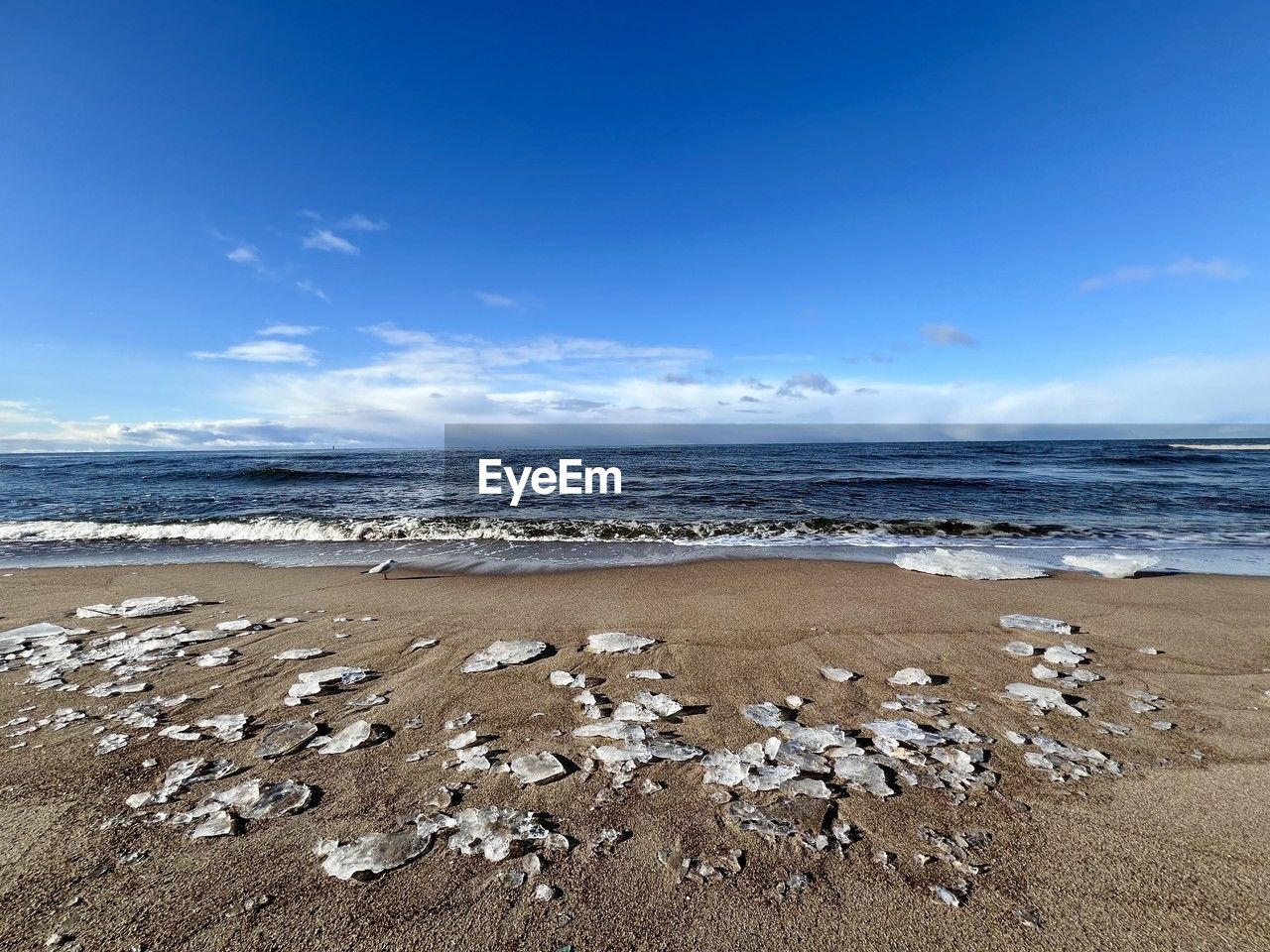 land, sea, beach, water, sky, body of water, shore, horizon, sand, ocean, nature, scenics - nature, coast, beauty in nature, wave, cloud, tranquility, environment, horizon over water, tranquil scene, no people, blue, day, rock, coastline, landscape, motion, travel destinations, outdoors, travel, non-urban scene, wind wave, animal, animal wildlife, idyllic, water's edge