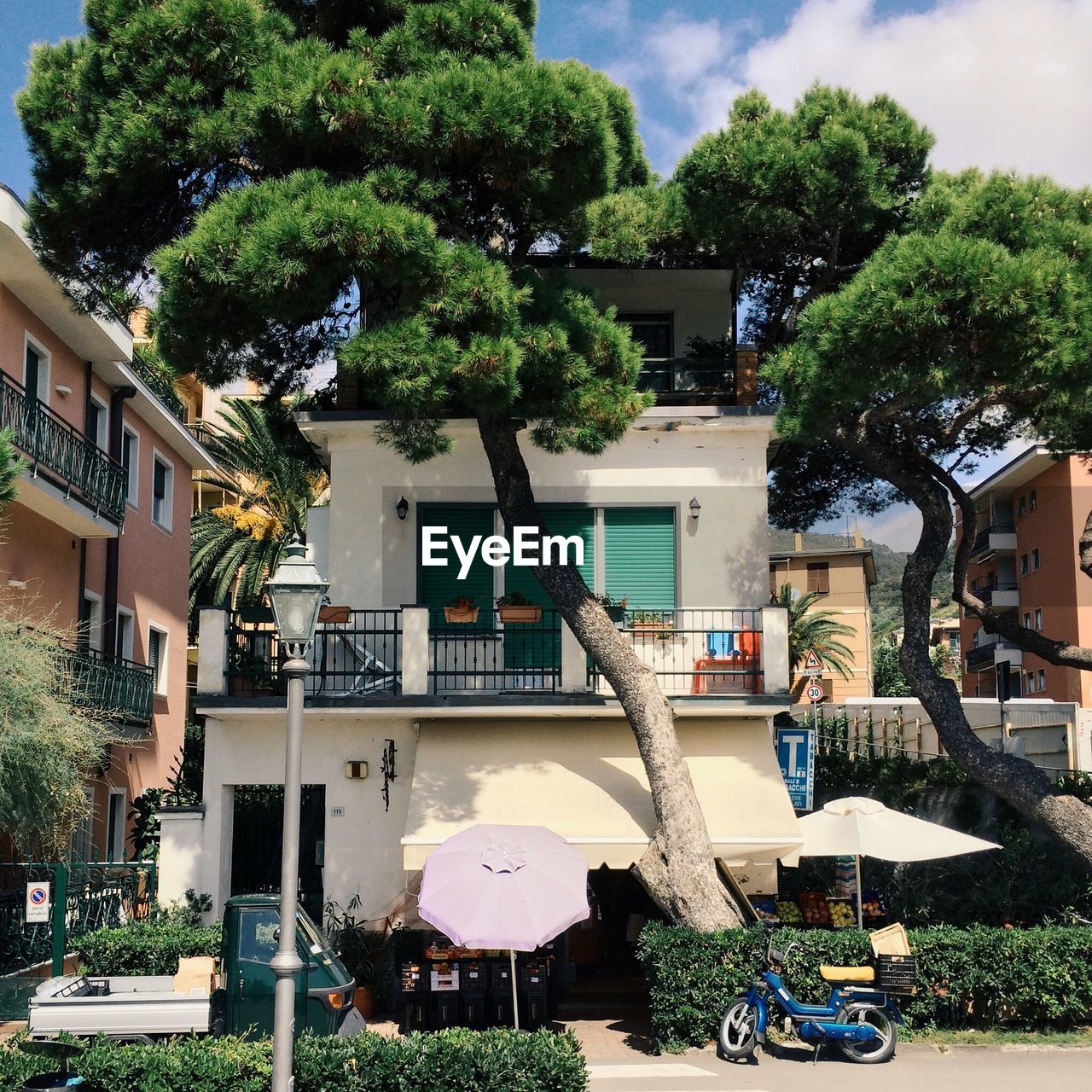 Houses and tree at monterosso al mare