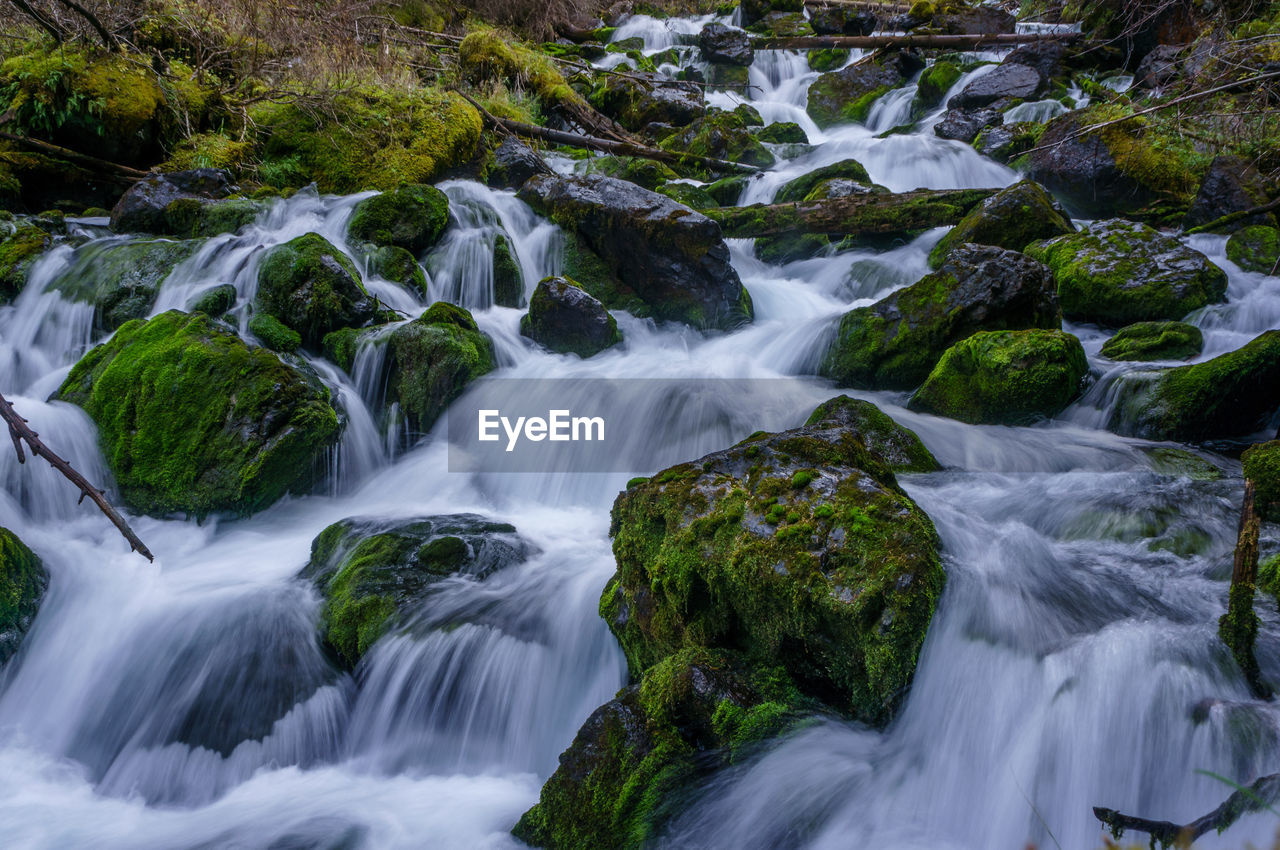 Scenic view of waterfall