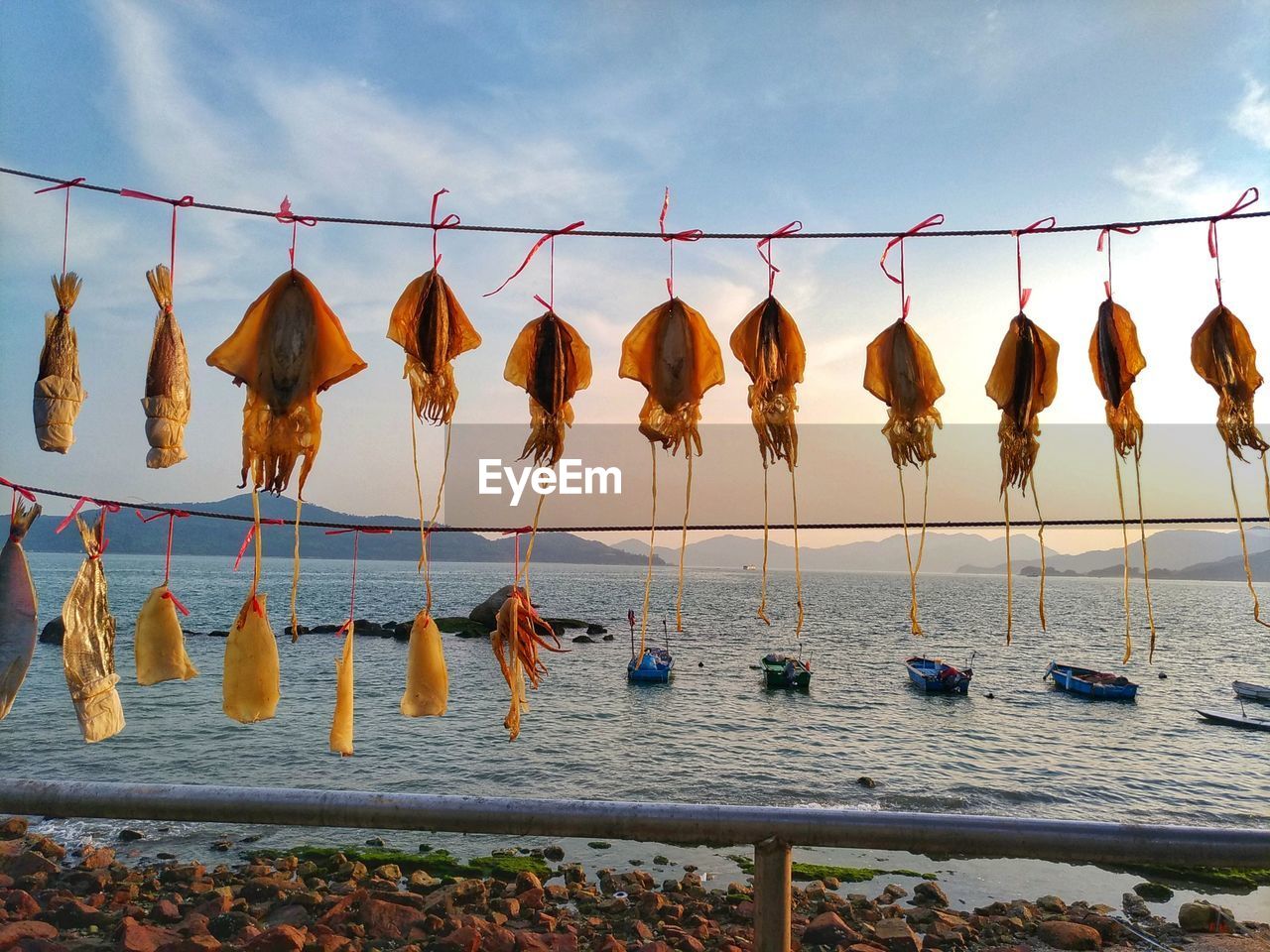 Squid drying on rope at beach against sky