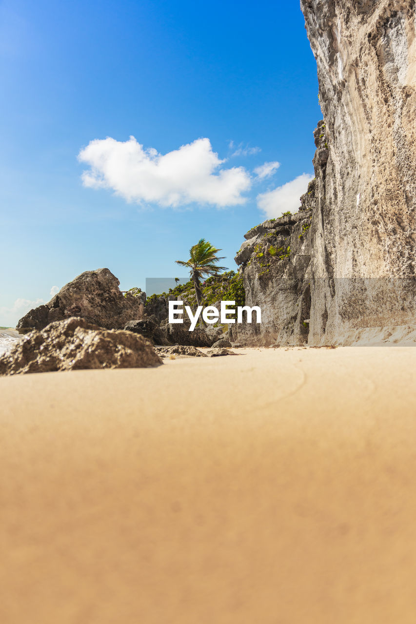 The lonely beach at the world famous tulum ruins in tulum mexico with waving palmtrees and  sand