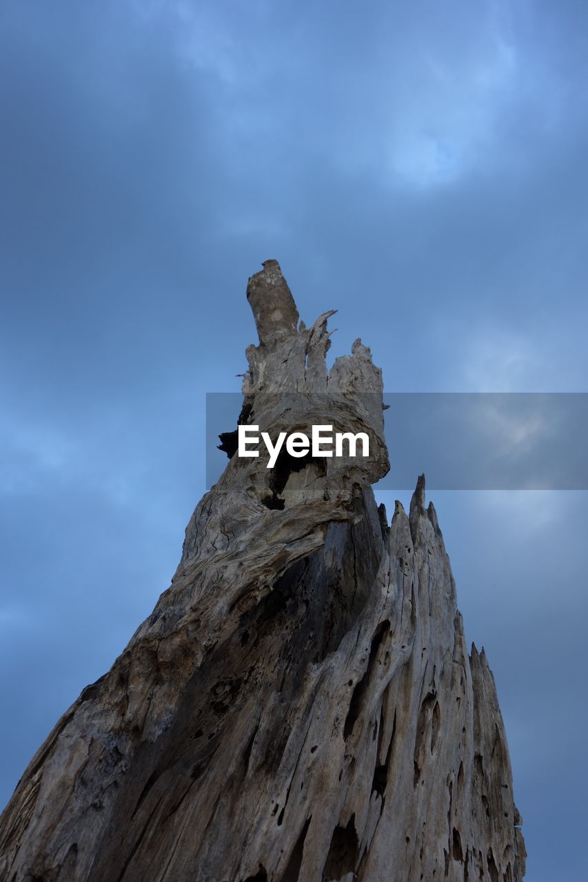 Low angle view of dead tree against sky