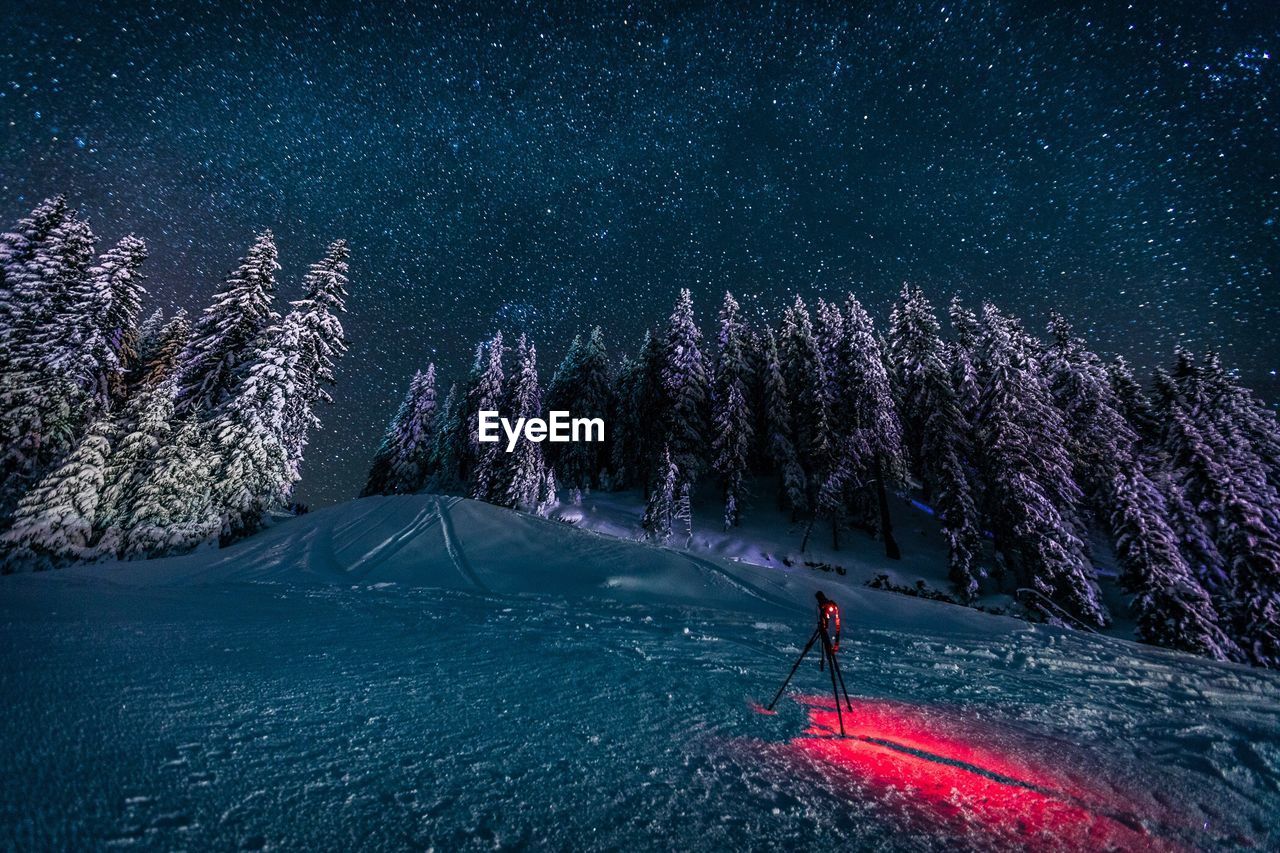 View of stars over forest at night