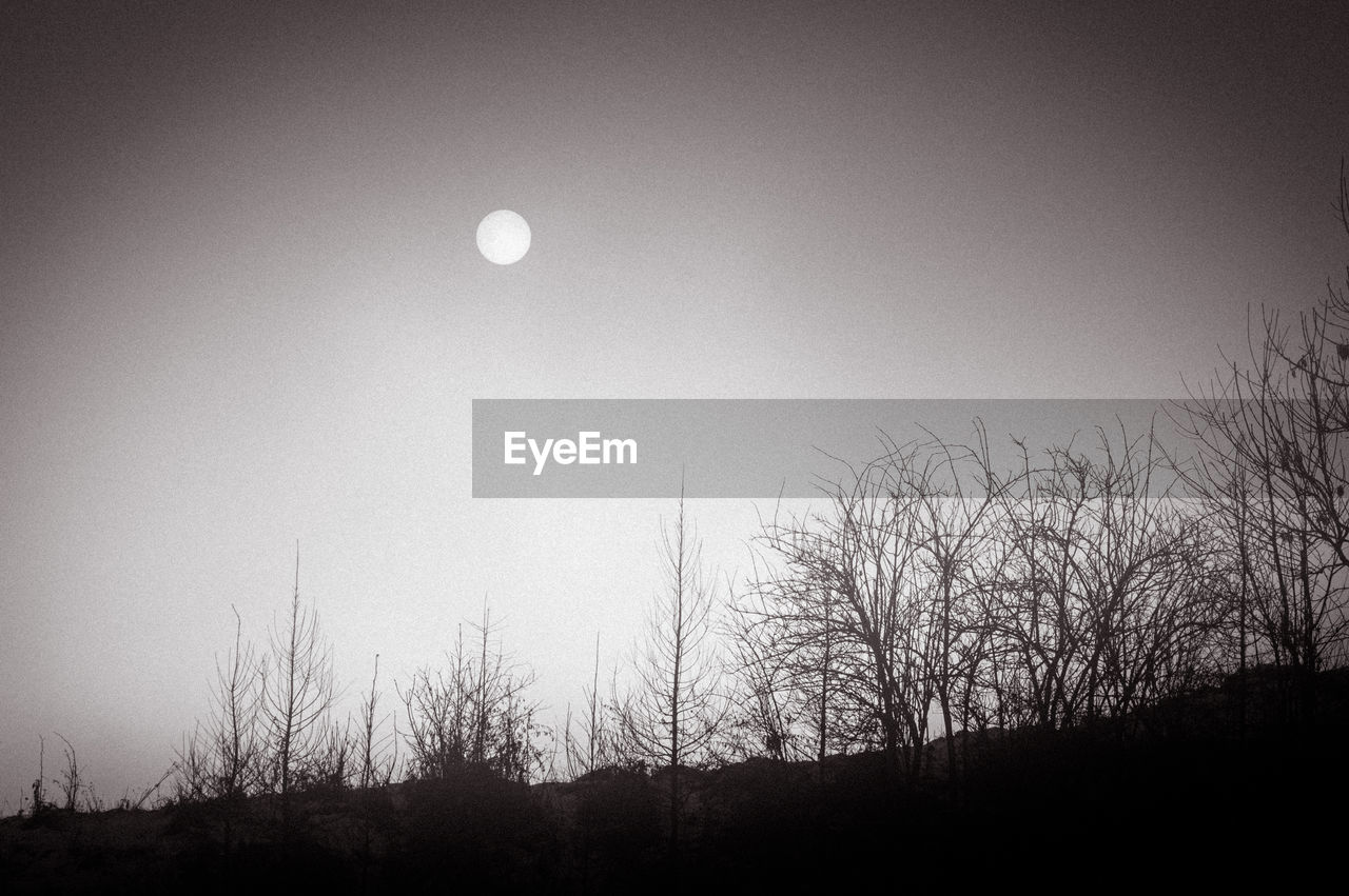 LOW ANGLE VIEW OF SILHOUETTE BARE TREES AGAINST CLEAR SKY