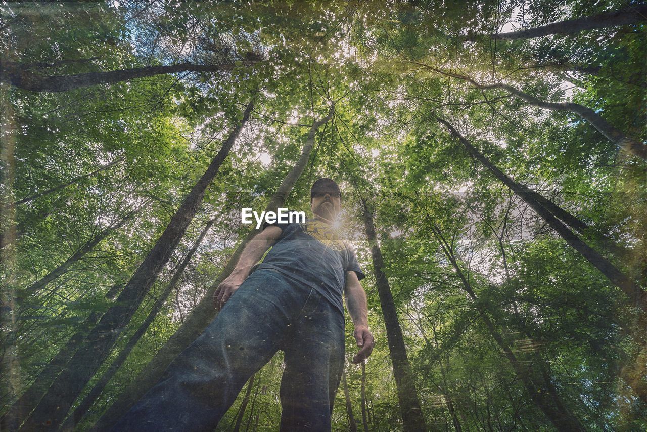 Low angle view of man standing in forest