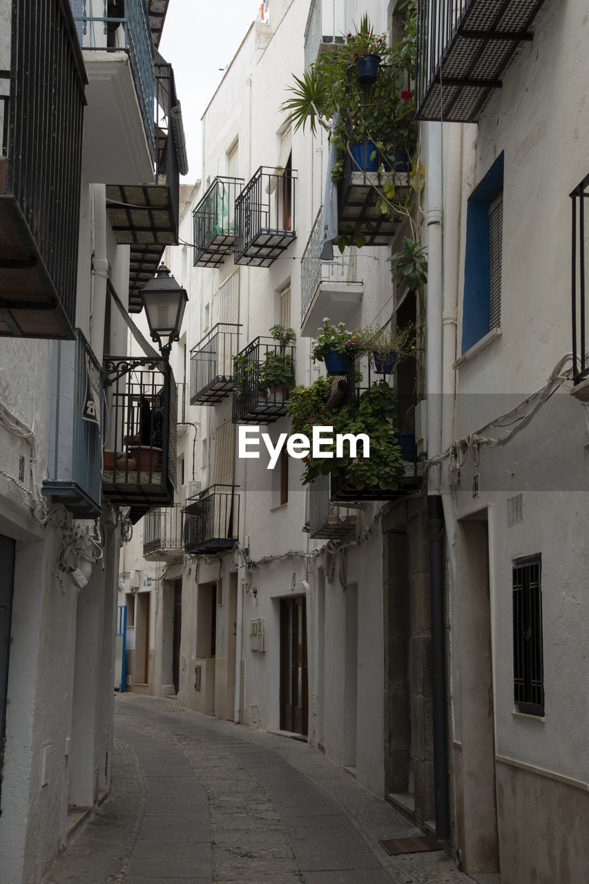 ALLEY AMIDST RESIDENTIAL BUILDINGS