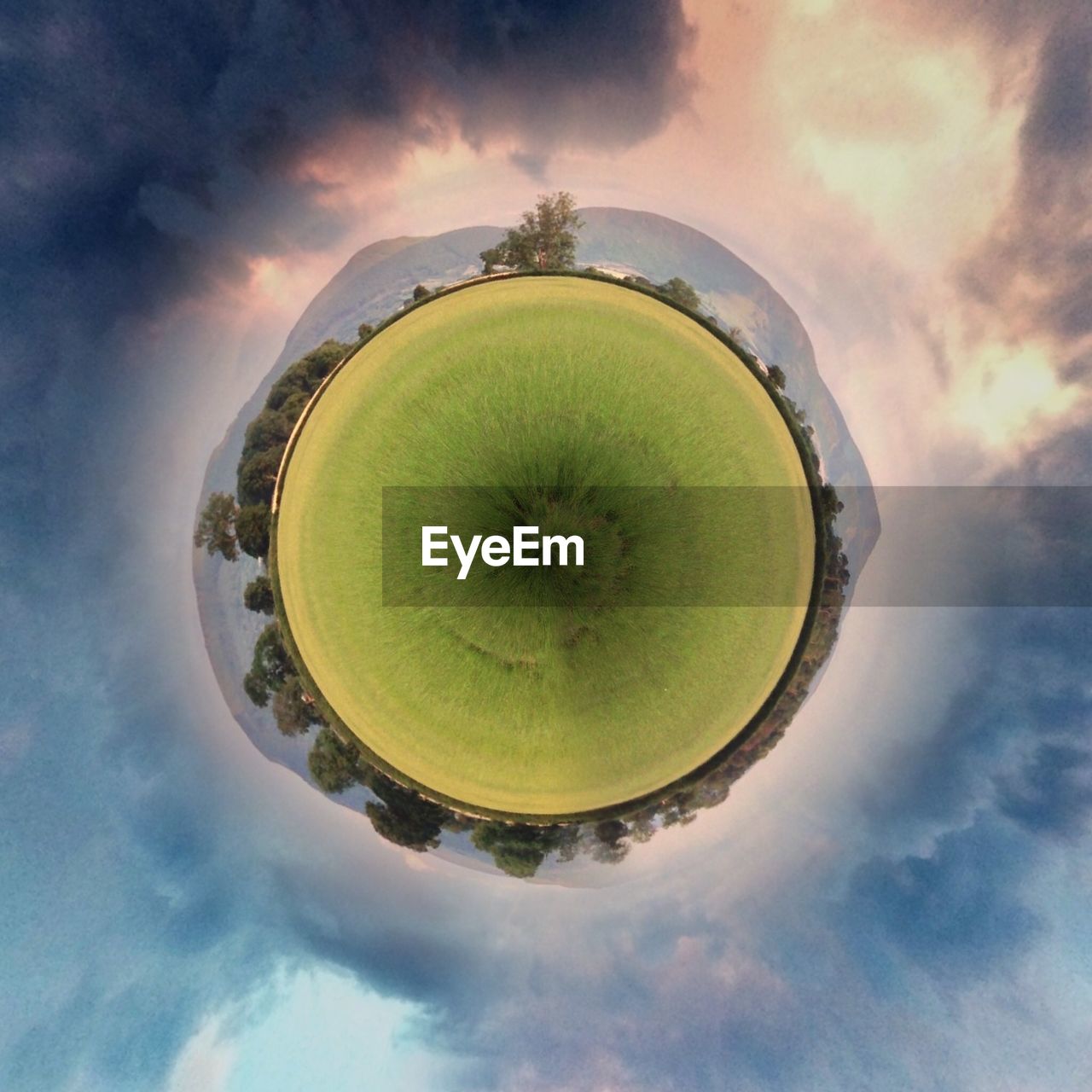 Conceptual image of tree stump representing deforestation