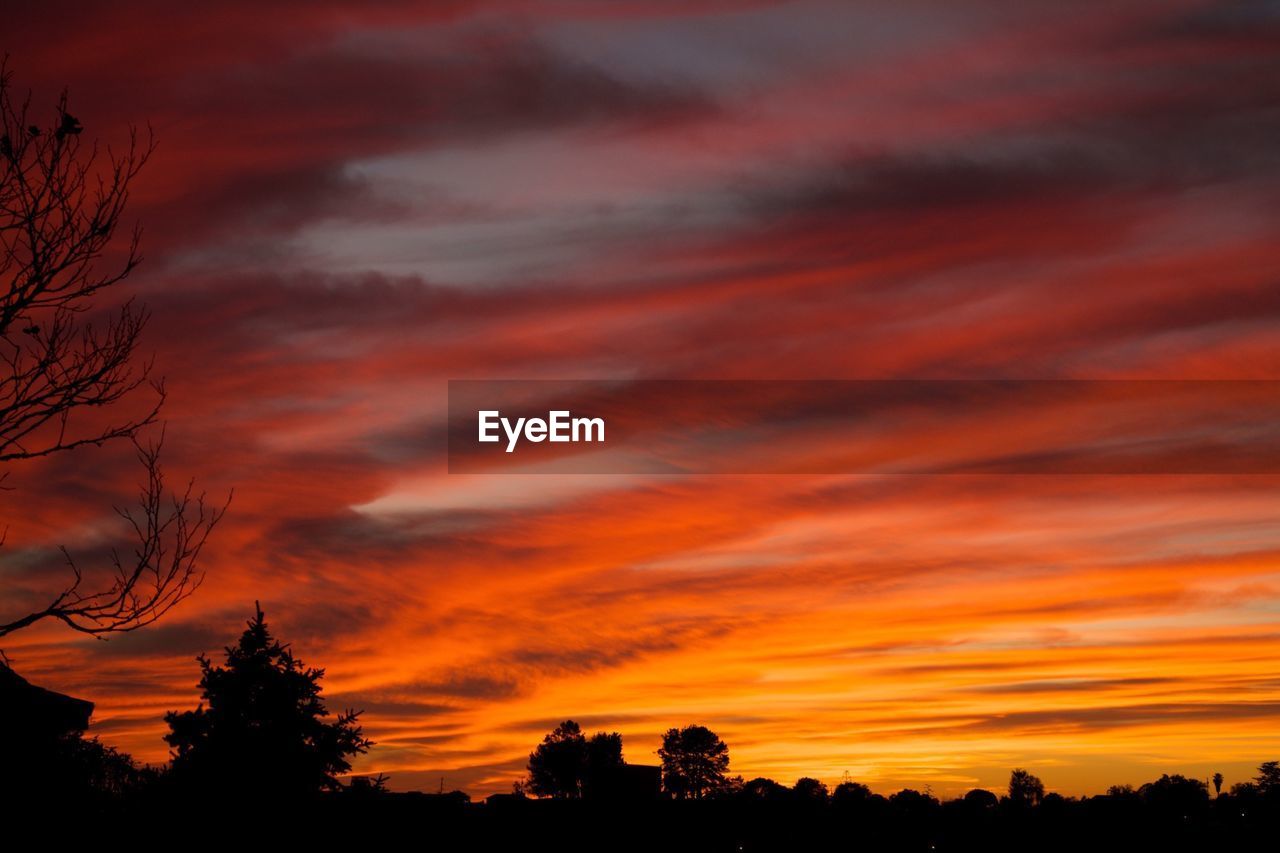 Silhouette of trees against cloudy sky