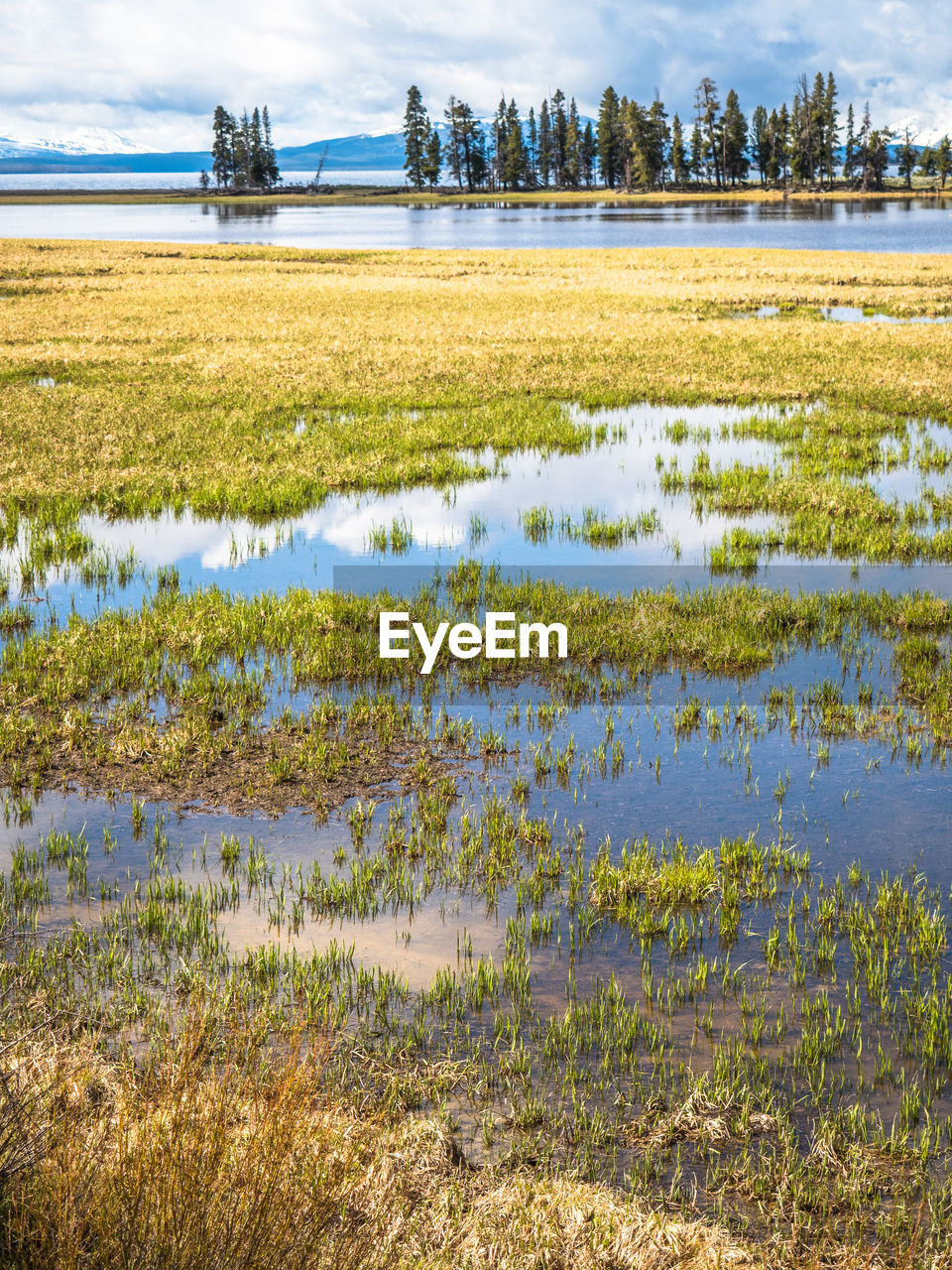 SCENIC VIEW OF LAKE AND FIELD AGAINST SKY