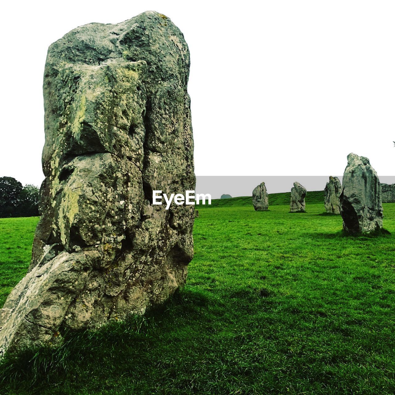 VIEW OF STATUES ON FIELD