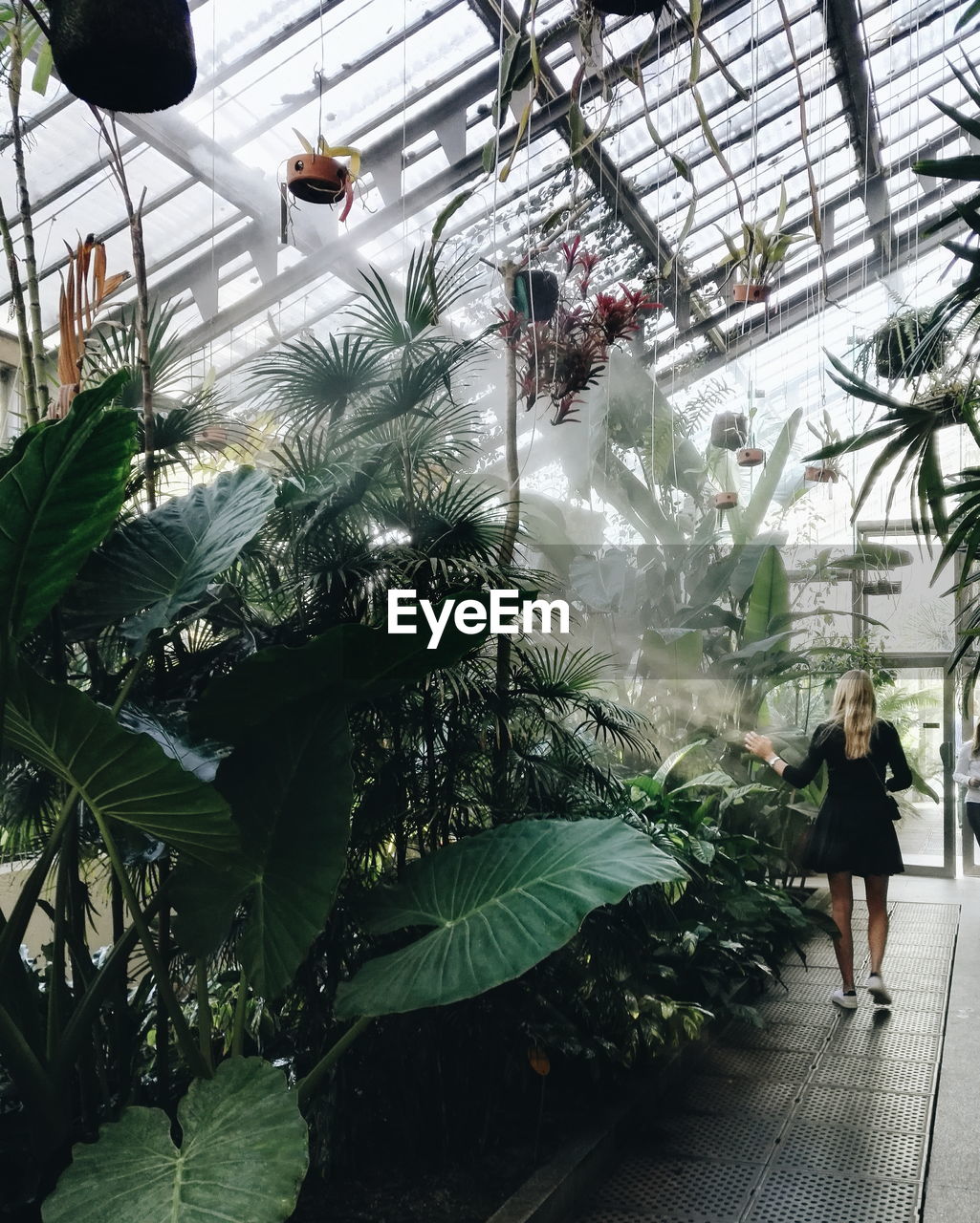 REAR VIEW OF WOMAN STANDING BY POTTED PLANTS