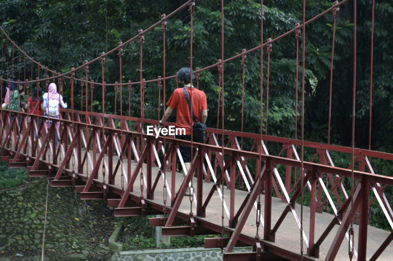 Rear view of men walking on footbridge in forest