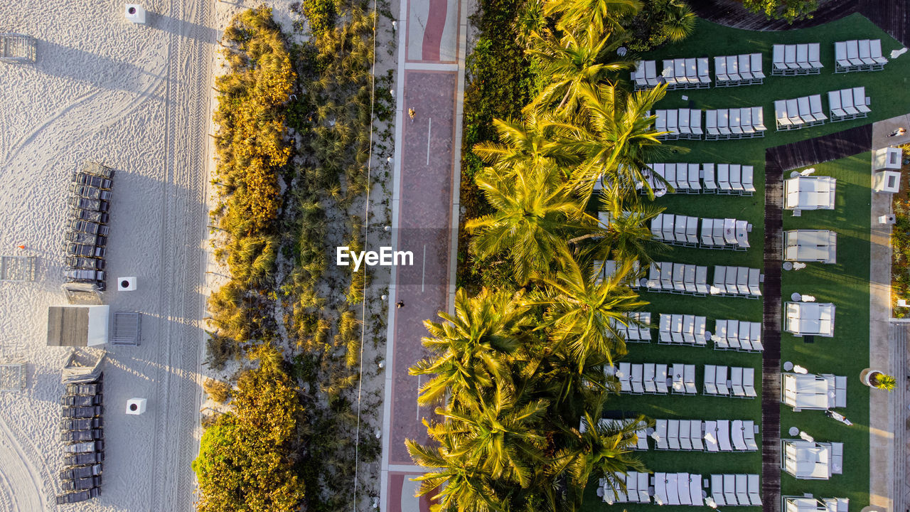 Trees and buildings above boardwalk in miami beach