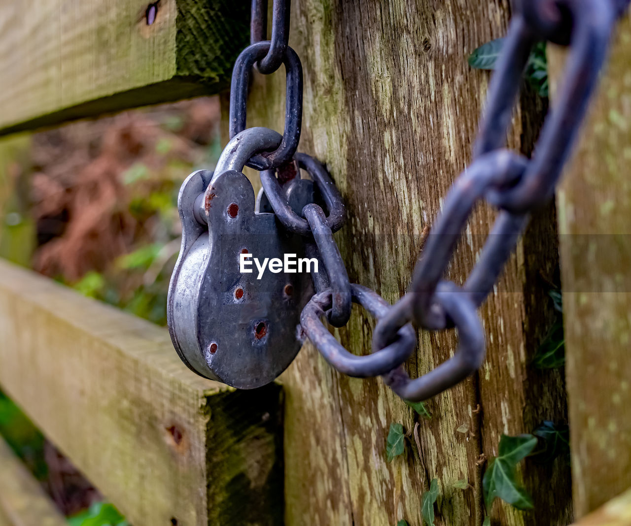 Close-up of chain hanging on metal fence