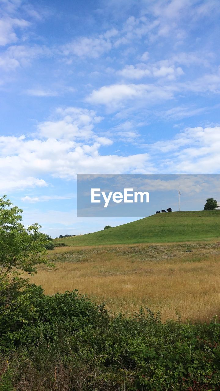 FIELD AGAINST SKY