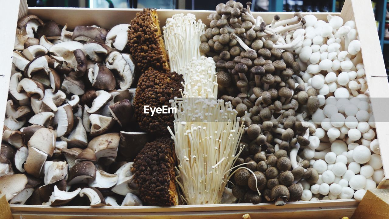 High angle view of various mushrooms for sale at market