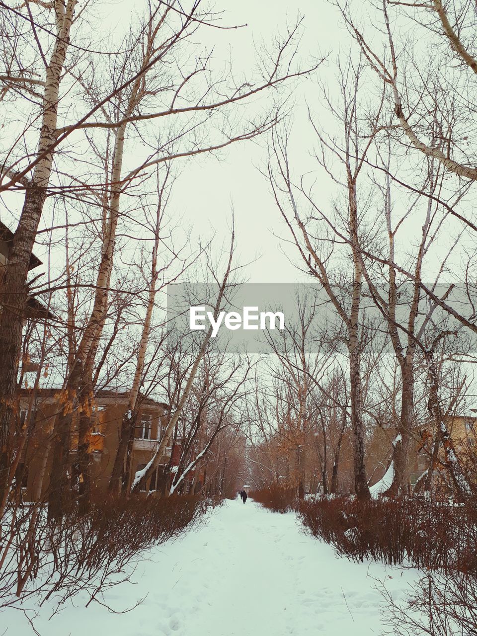 SCENIC VIEW OF LAKE AGAINST SKY DURING WINTER