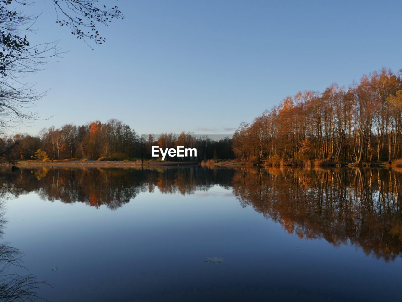 REFLECTION OF TREES IN LAKE AGAINST SKY