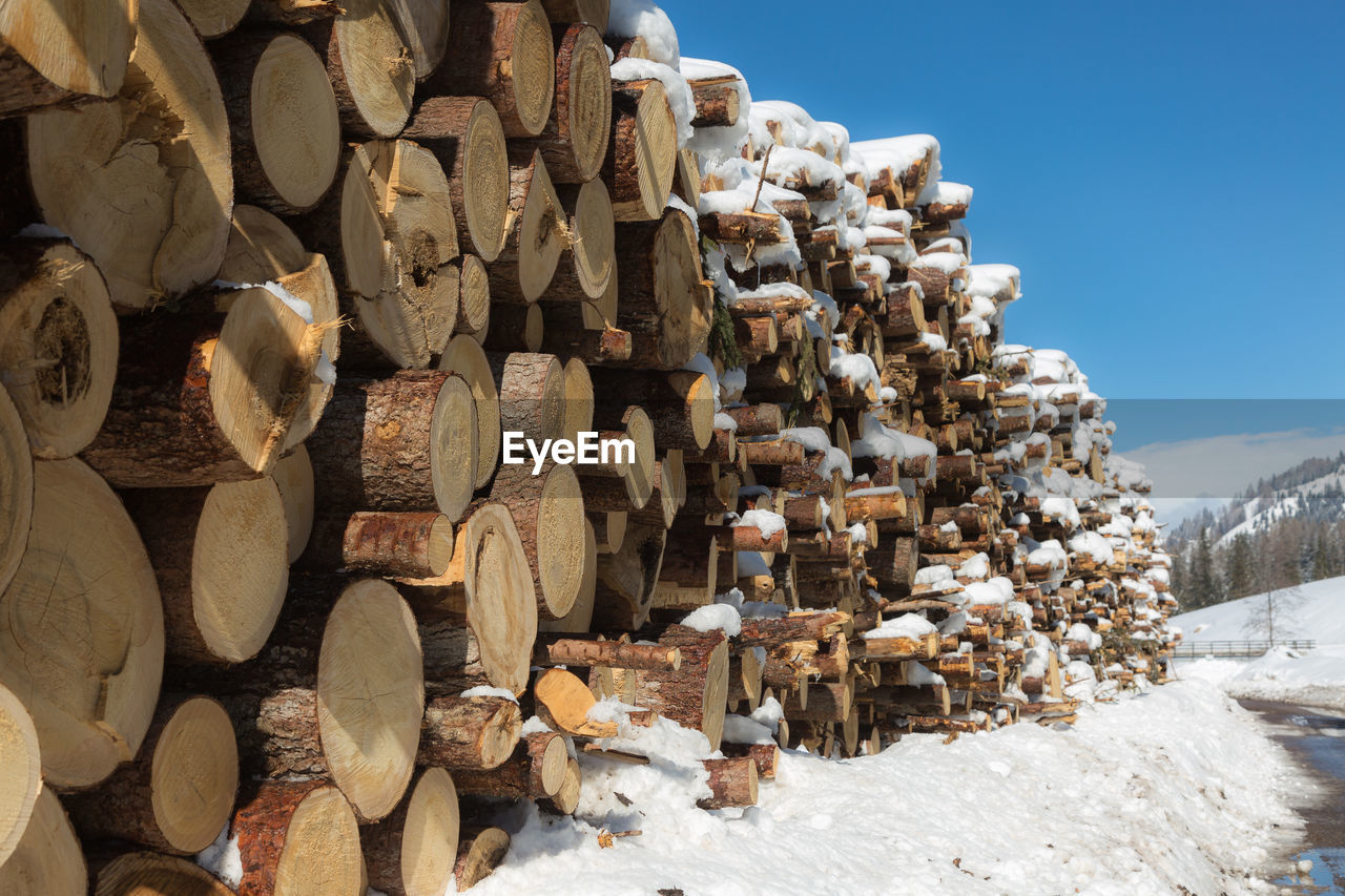 Woodpile with snow- cross section of tree trunks background.