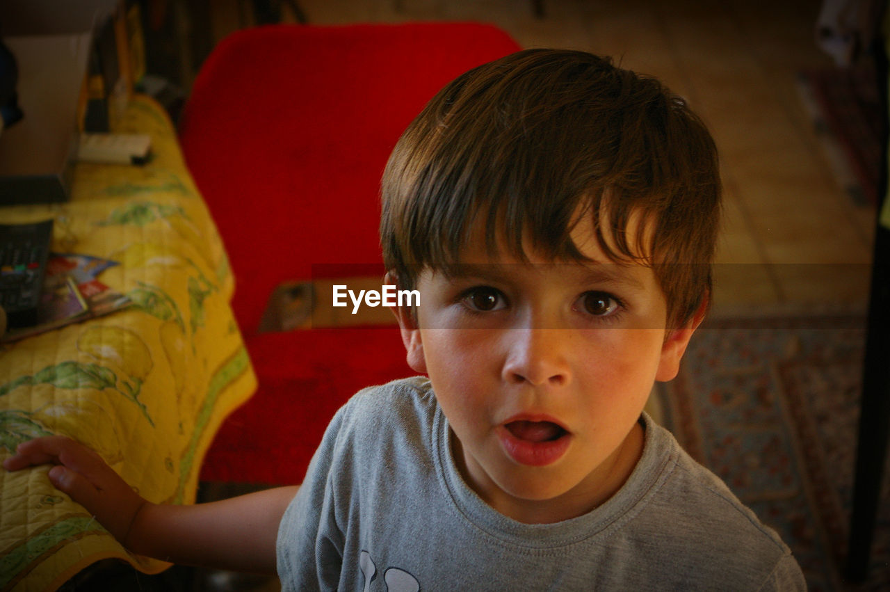 Portrait of shocked boy at home