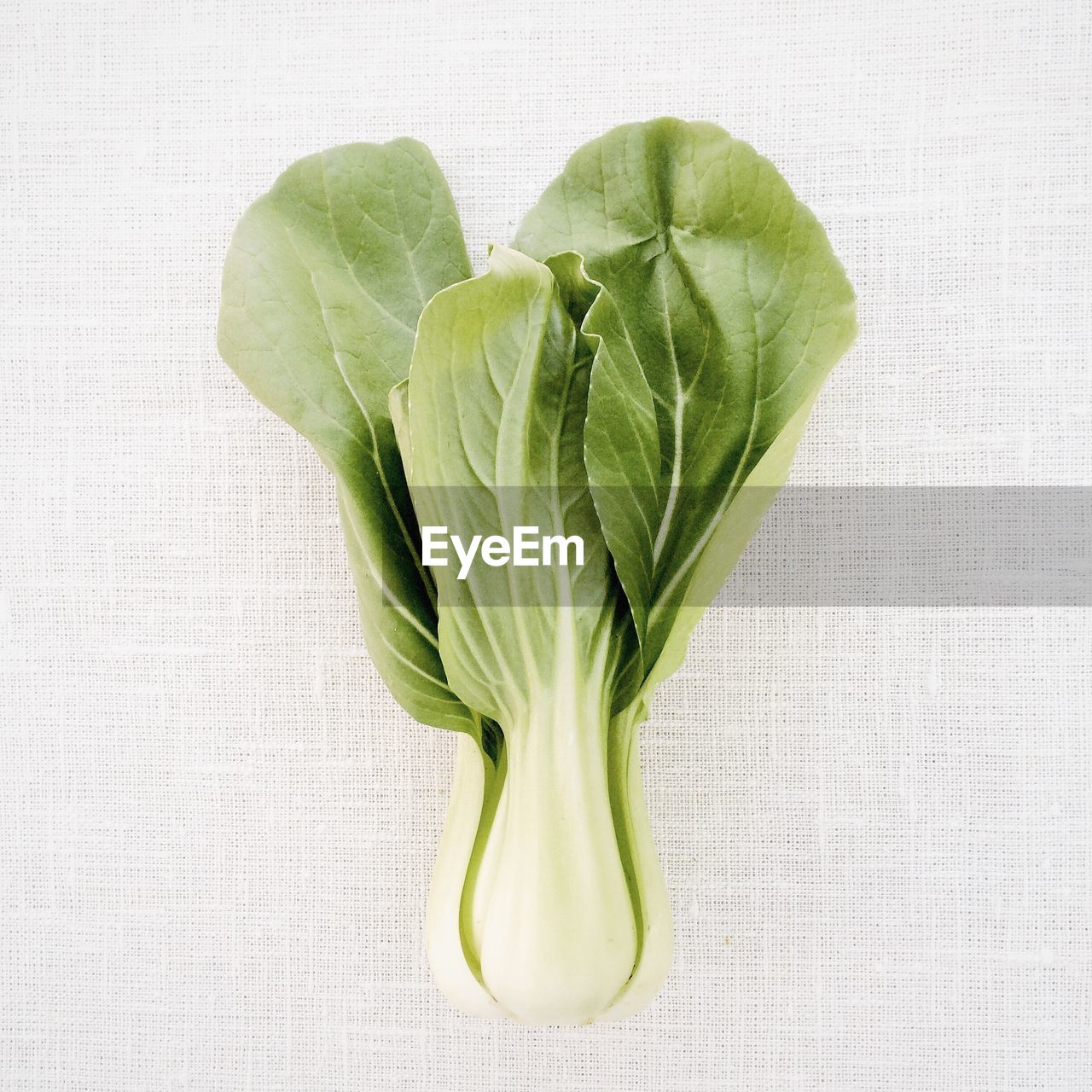 Chinese cabbage on white fabric