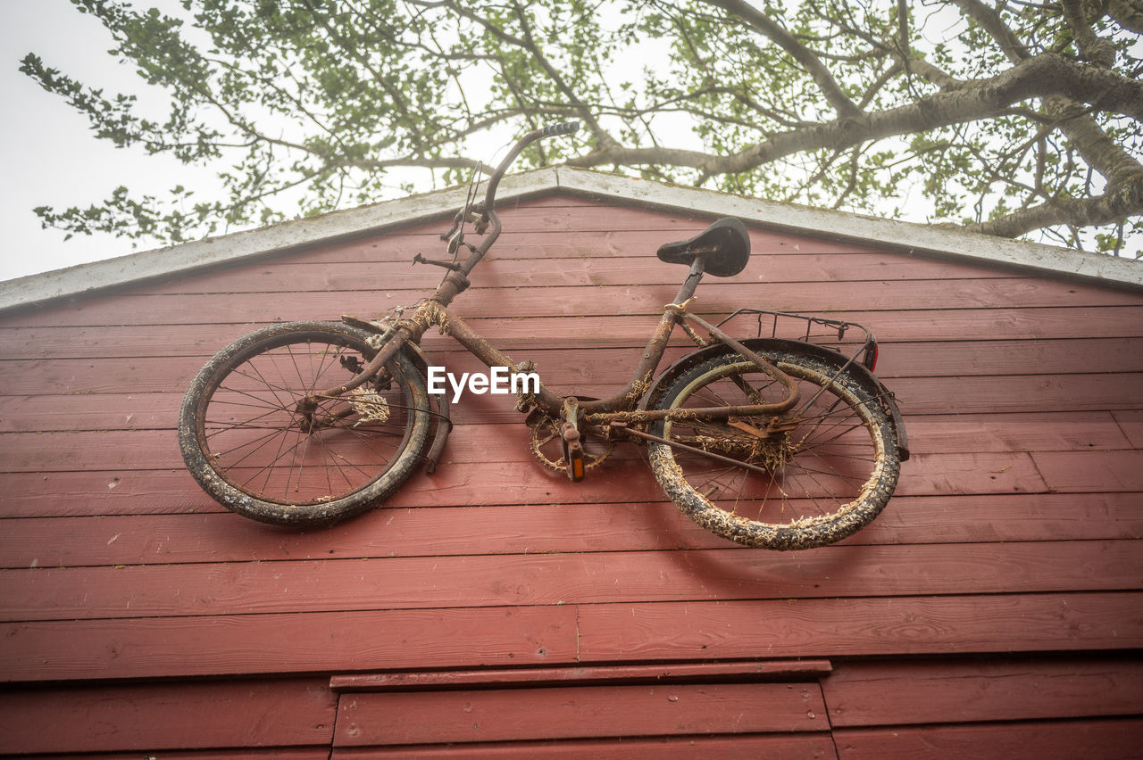 bicycle, tree, transportation, no people, vehicle, architecture, day, plant, iron, low angle view, mode of transportation, nature, built structure, outdoors, wheel, cycle sport, land vehicle, building exterior, wood, wall - building feature, bmx bike, mountain bike, bicycle motocross