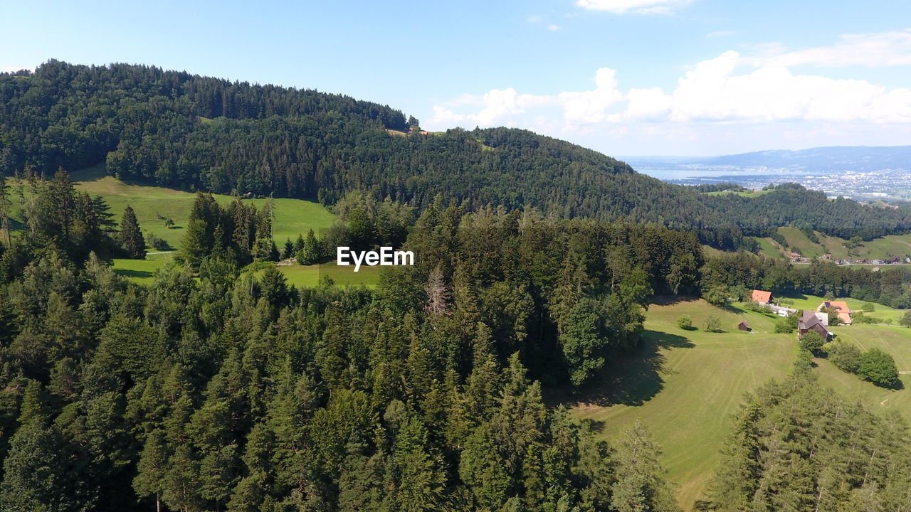 High angle view of trees on mountain against sky