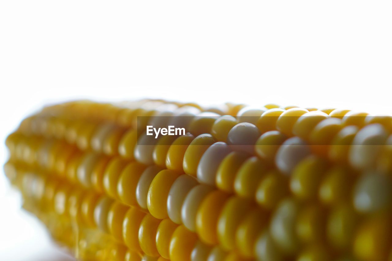 Close up of corn