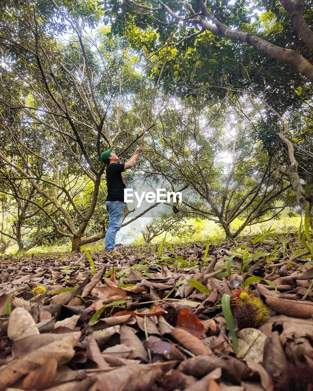 Surface level shot of man standing on dry leaves in forest