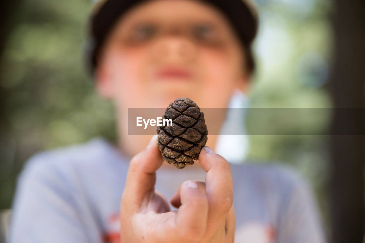 Close-up of boy showing pine cone at sequoia national park