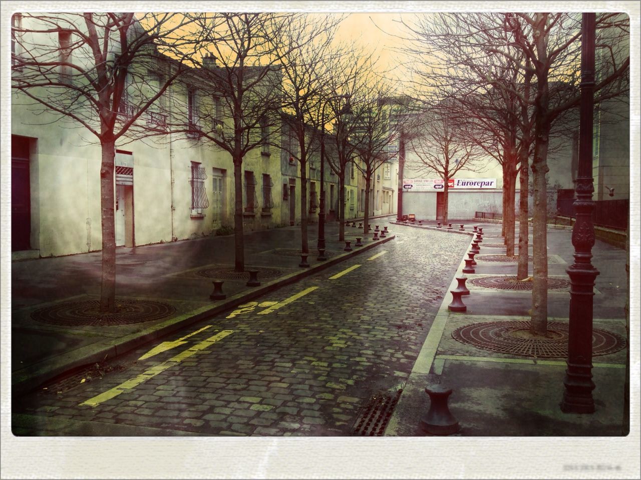 WALKWAY ALONG TREES IN CITY