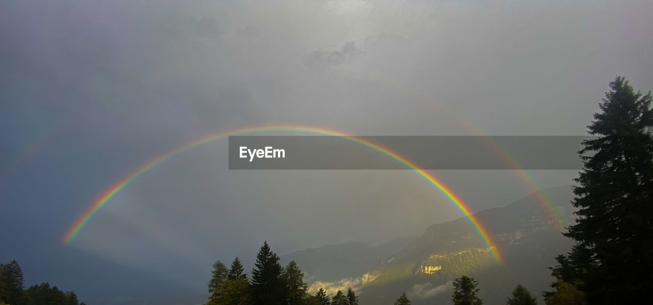 rainbow, tree, beauty in nature, plant, scenics - nature, sky, nature, double rainbow, tranquility, cloud, multi colored, tranquil scene, no people, idyllic, spectrum, forest, environment, non-urban scene, land, natural phenomenon, landscape, mountain, low angle view, outdoors, sunlight, day