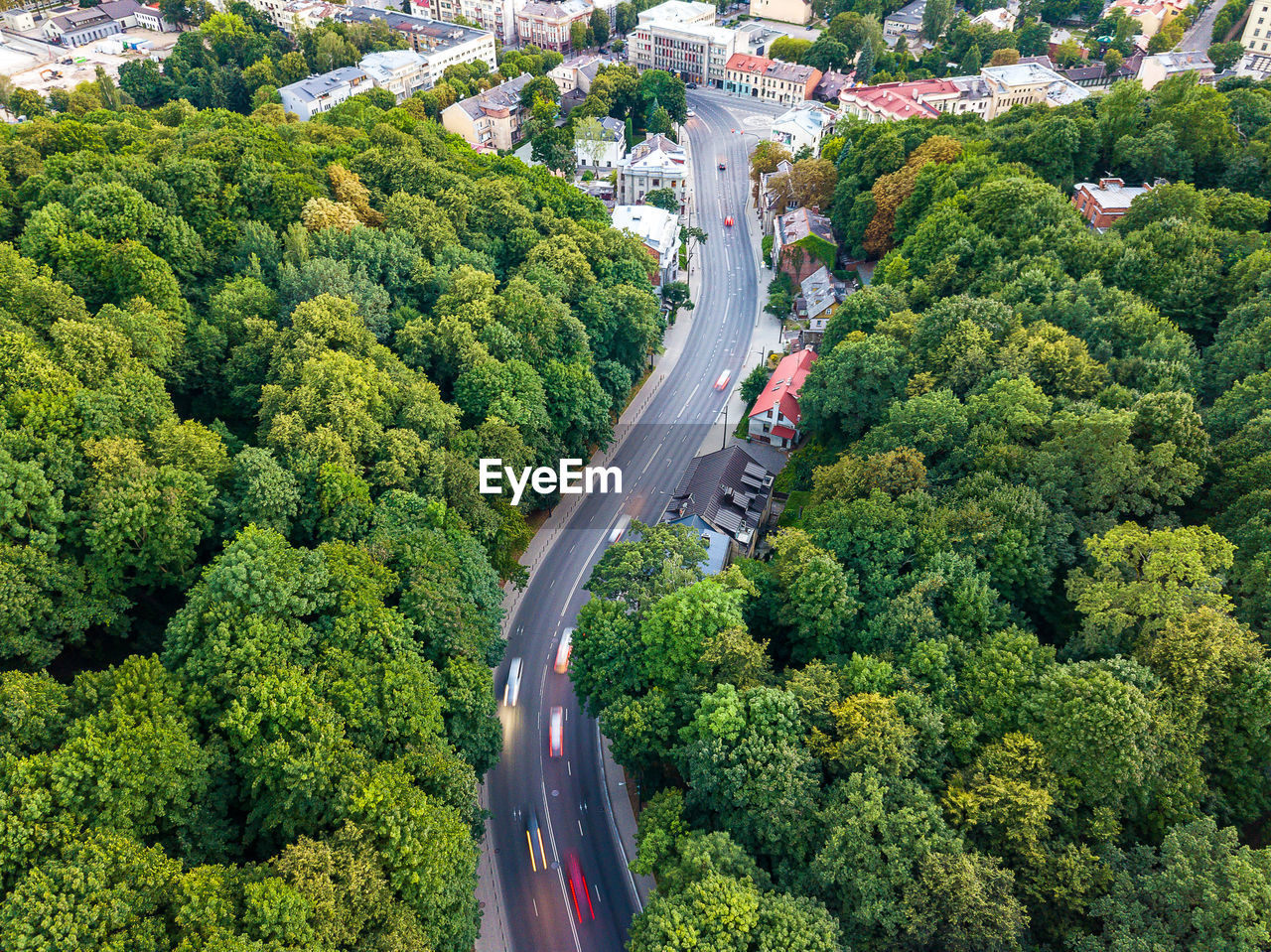 Aerial view of road amidst trees in city