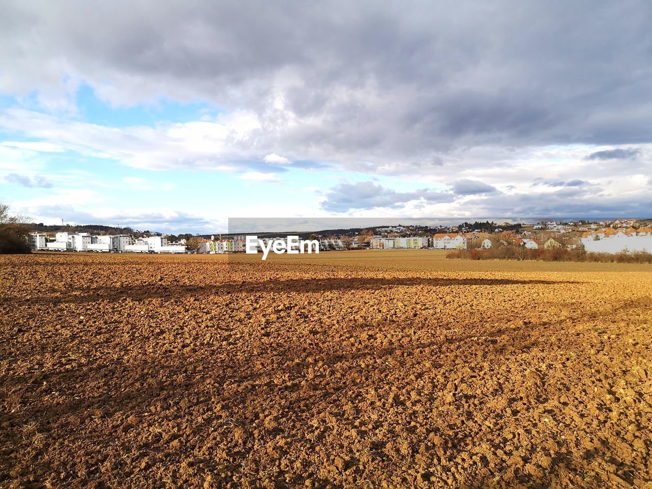 FIELD AGAINST SKY