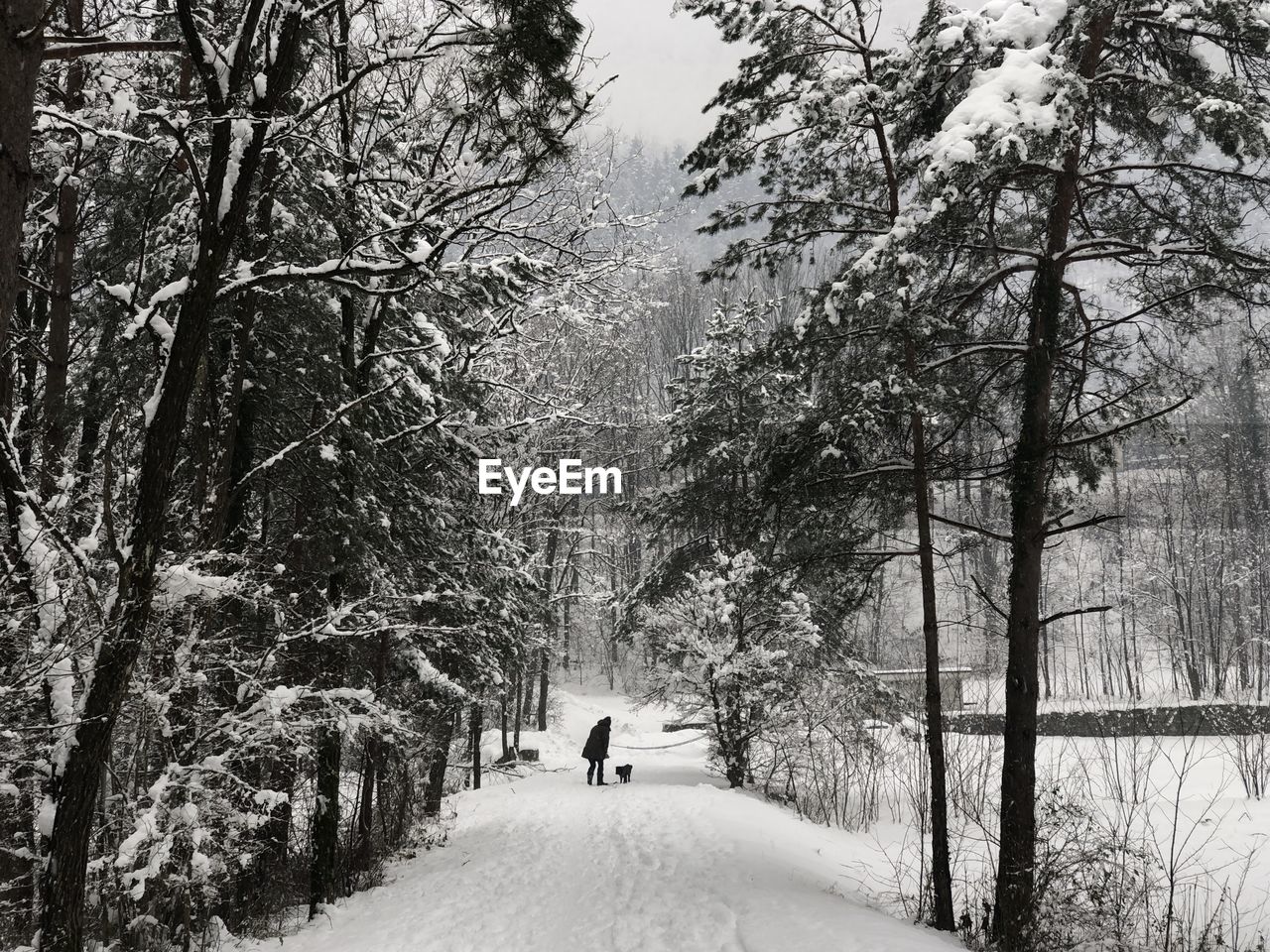 Rear view of man walking on snow covered landscape