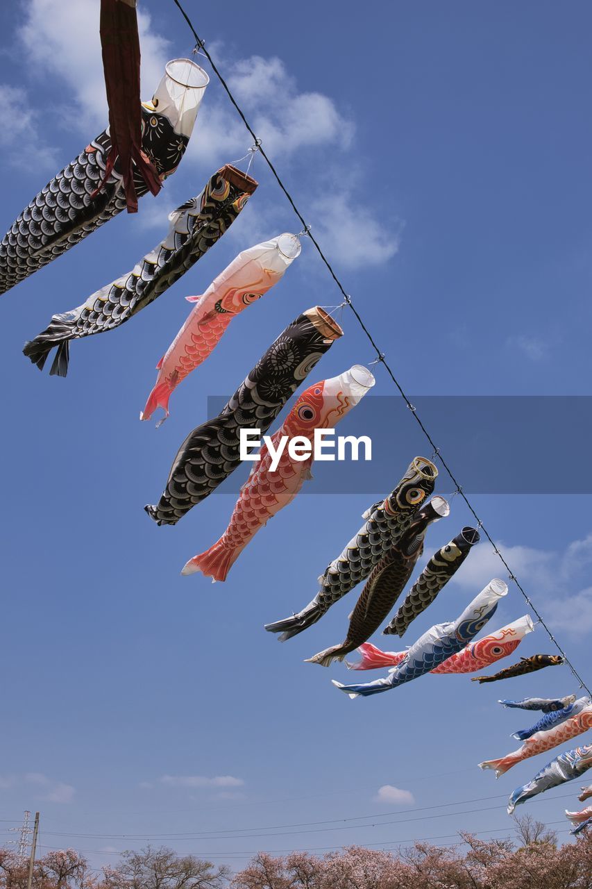 Low angle view of fish hanging against sky